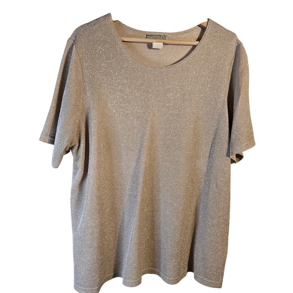 Notations Woman Sparkle Knit Top, Size 1X – Shimmery Short Sleeve Blouse [0385]